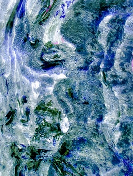 AP 171A1
